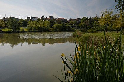 GR® DE PAYS SÈVRE ET MAINE