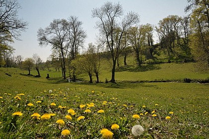 Randonnée "Bornéo"