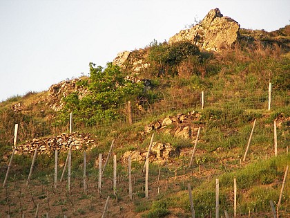 BEAULIEU SUR LAYON - SENTIER D'INTERPRETATION RESERVE NATURELLE REGIONALE - SUR LES PAS DU CHANOINE CORILION