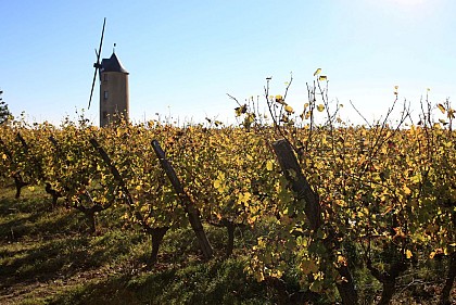 Sentier du ruisseau des Moulins