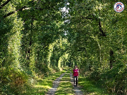Sentier des Chênes Lièges