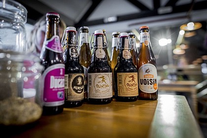 Cycling amongst beer and legends in the Pays des Collines