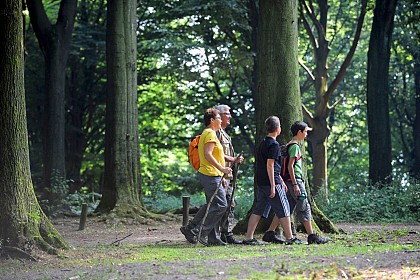 Sur les traces de la légende de Liedericq