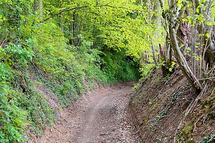 On foot, in the Flobecq countryside