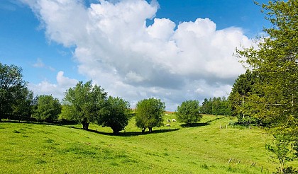 Promenade des Princes