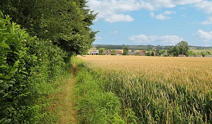 Promenade de l'Arbre de la Liberté