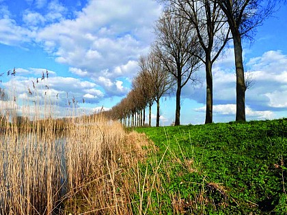 A vélo, au pied du mont