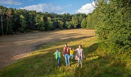 Nail-filled tree circuit