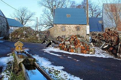 Le bois des Trouveyres