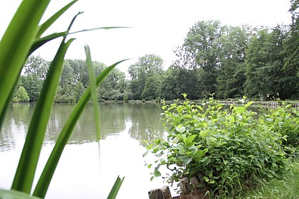 De la Forteresse médiévale aux fontaines bouillantes