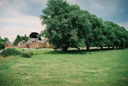 En balade en Hesbaye : Les Glaneurs