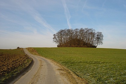 En balade en Hesbaye : La Maison du Roy