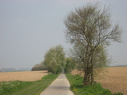 En balade en Hesbaye : Marlborough