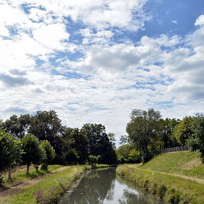 CHÂTRES SUR CHER - Chemin de Boucharimbault
