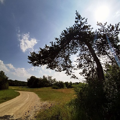 GIEVRES - Le Chemin de la Pêcherie