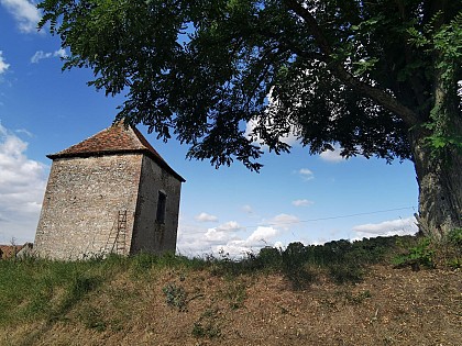 LA CHAPELLE MONTMARTIN - Chemin les Grands Pâtureaux