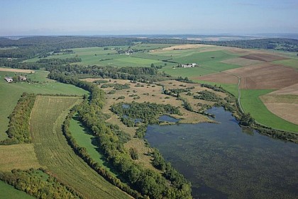 Variante Sentier découverte Natura 2000 - Le Vieil Etang