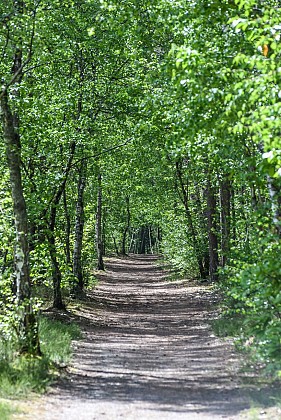 Boucle 05 - Entre plaines et forêts