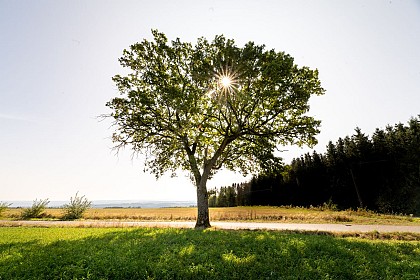 Promenade n° 13 Haid