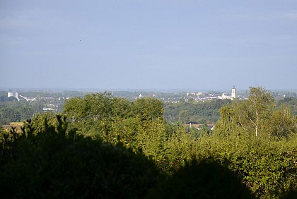 SENTIER DE RANDONNÉE MARAIS: FAUNE ET FLORE -BRION
