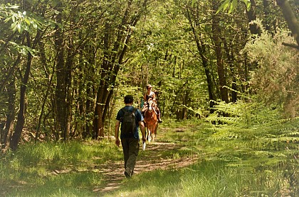 SENTIER EQUESTRE DES BOIS D'ANJOU -FONTAINE GUÉRIN