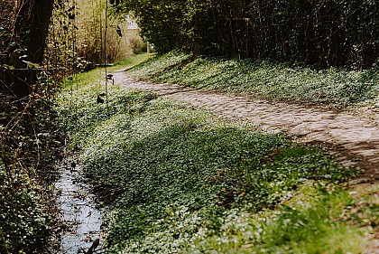 Circuit de Pierpont à Frasnes-les-Gosselies