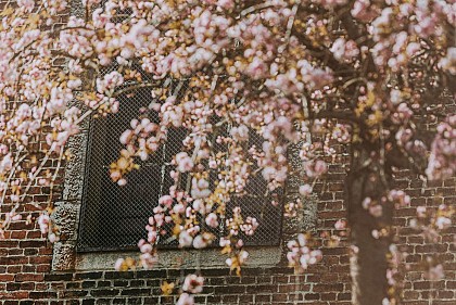 Circuit des Hameaux à Rêves