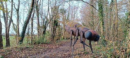 Walking trail of Pont Bernard