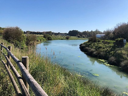Balade entre marais et bord de mer - Du Parc de l'Édit à la jetée en Bois