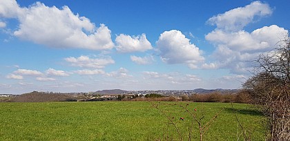 Au départ du Fort, traversez chemins, vignes et lieux-dits de Flémalle