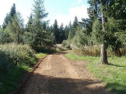 Randonnée Le Bois des Fraux