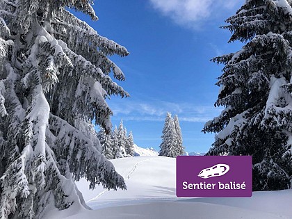 Fimaloz (Agy) - Winter hike