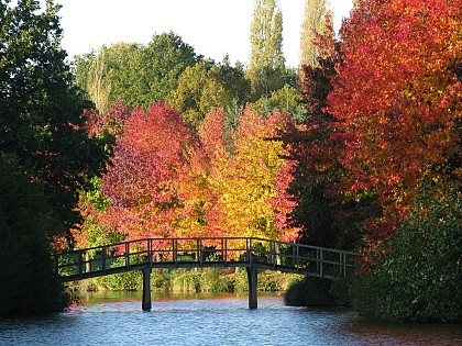 Circuit Vélo Promenades de Carentoir