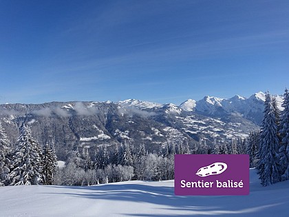 La Bordaz (Agy) - Winter hike