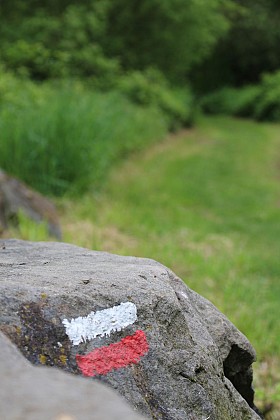 GR®89 - Chemin de Montaigne : Saint-Martin-Lestra / Poncins