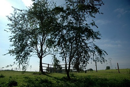 La cantenaire d'haubourdin