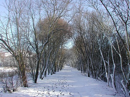 Circuit le tour de l'horloge (Carvin)