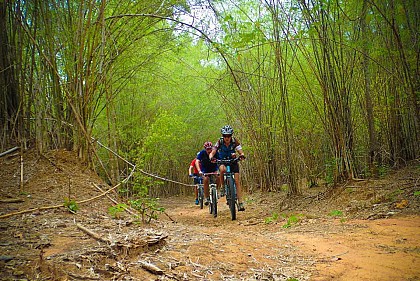 Circuit 2 VTT 15 kms Forêt domaniale de Fontainebleau  départ Camping Le Parc du Gué