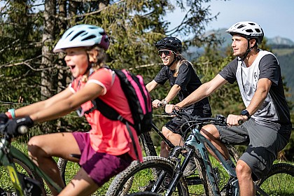 Merle/Danay  - Itinéraire VTT Cross country n°14