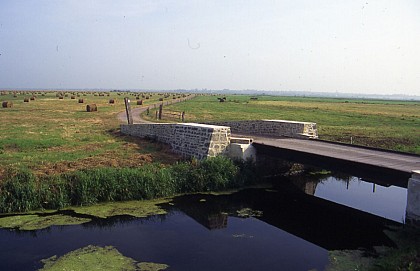 Vallées de la Sève et de la Taute - en voiture
