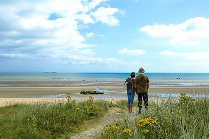 Marais arrière-littoraux de la Côte Est
