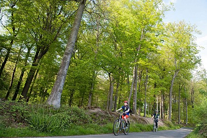 Petite échappée verte à vélo à Silly