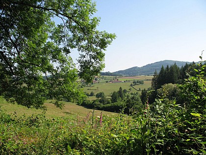 Circuit des Collines