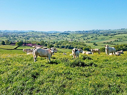 Sentier thématique - Chemin du bocage et des fours à chaux