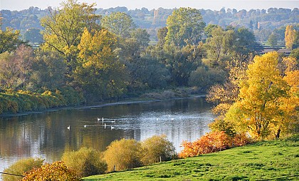 Entre Loire et étangs