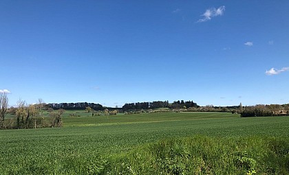 Circuit N°6 : Circuit du Mirail