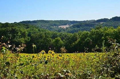 La Croix-Blanche, la balade du Bernou