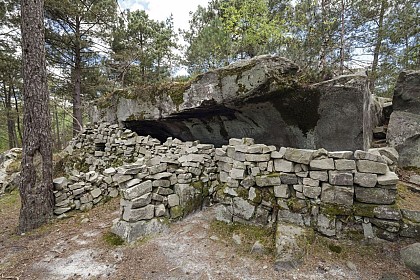 Randonnée  11 Kms Sur les traces des anciennes carrières de grès de la forêt de Fontainebleau