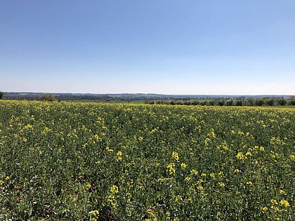 Circuit N°8 : Circuit des passerelles