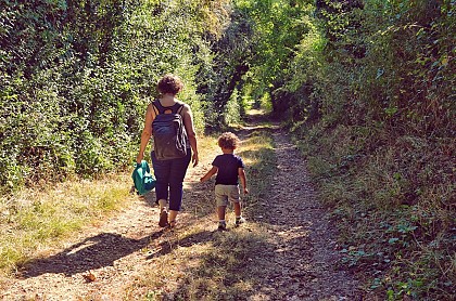 SENTIER DE RANDONNÉE LA VALLÉE DU LATHAN À BREIL